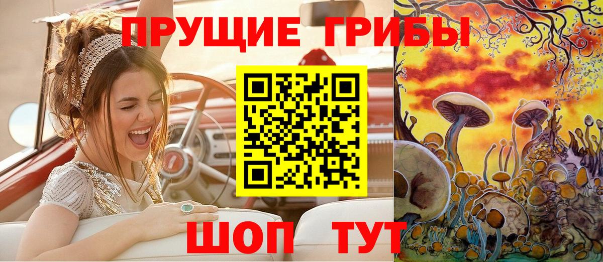 Псилоцибиновые грибы прущие грибы  Вход с VPN  Дедовск  Псилоцибиновые грибы Cubensis 